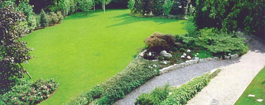Vivaio Giardineria Di Folletti Paolo Ferrara