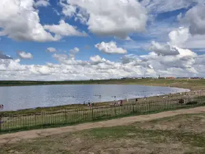 Avarga Toson Salt Lake