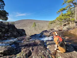 Taum Sauk Trail