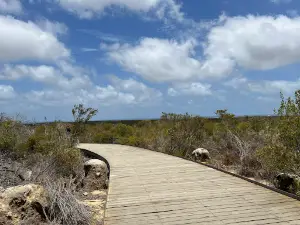 View Point at The Pinnacles