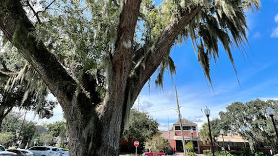 Plant City