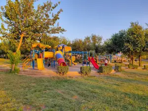Shadi Park