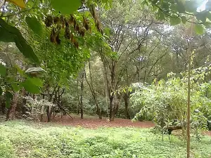 Parque Municipal Da Barraginha