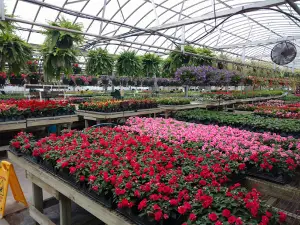 Engle's Farm & Greenhouse