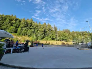 Social Luigi Buzzi Center