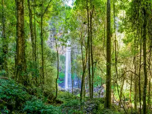 Rawson Falls