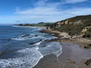 Fur seal viewing walk