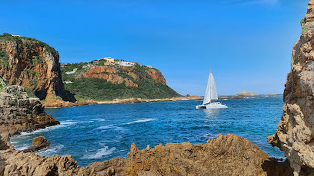 Ocean Sailing Charters