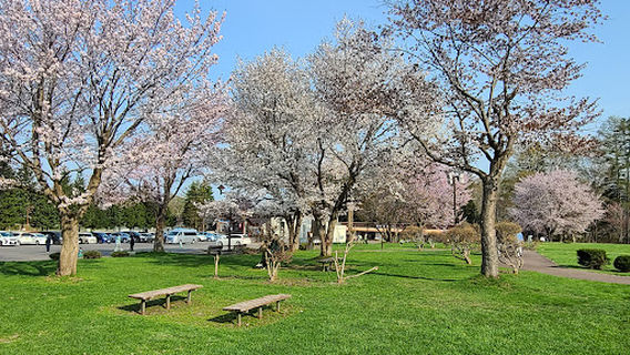 Kyogoku
