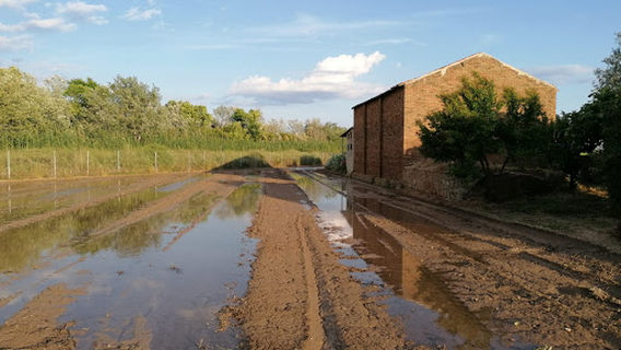 El Prat de Llobregat