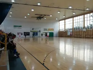 Hala sportowo - widowiskowa