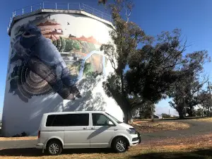 Narrandera Water Tower Art