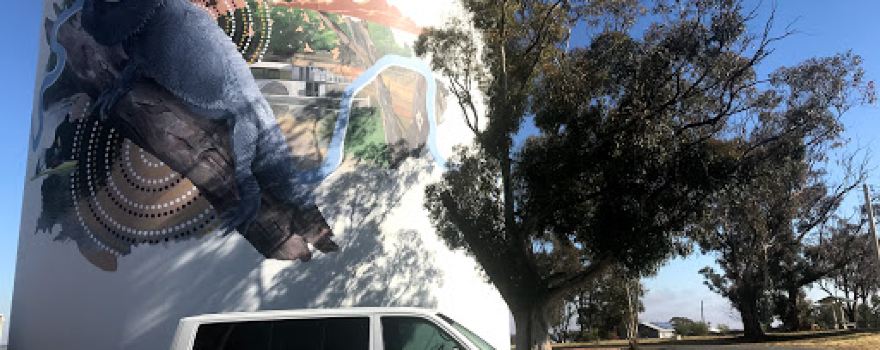 Narrandera Water Tower Art