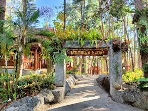 ป่าสนวัดจันทร์ โครงการบ้านวัดจันทร์ ที่พัก ออป