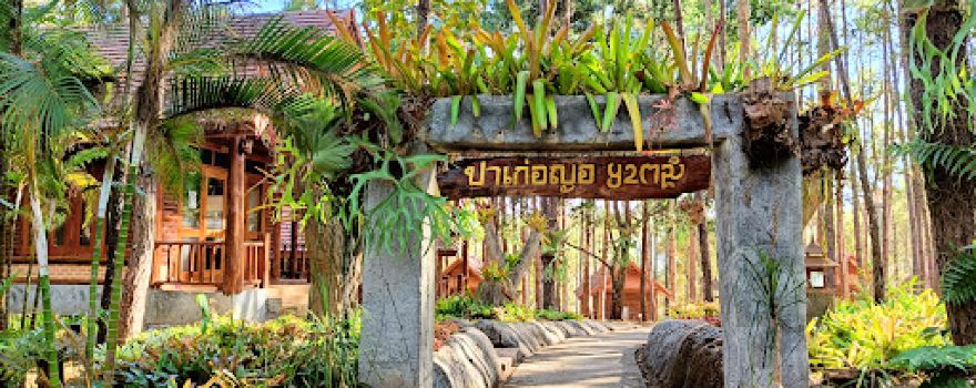 ป่าสนวัดจันทร์ โครงการบ้านวัดจันทร์ ที่พัก ออป