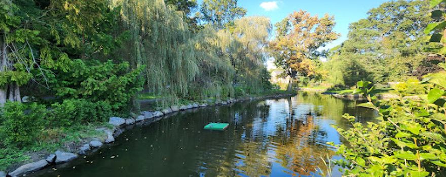 Binney Park