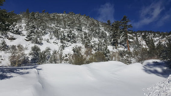 Trail Canyon Trailhead