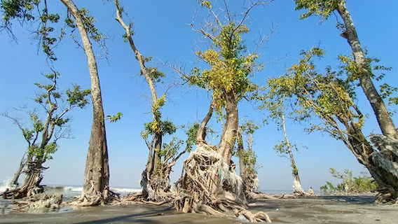 Kuakata Sea Beach Jame Mosque
