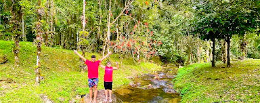 Parque Estadual Carlos Botelho - Núcleo Sete Barras