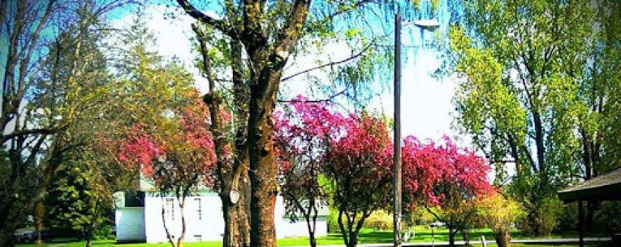 Farmington City Park / Rose Garden