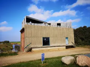 Skjern Enge