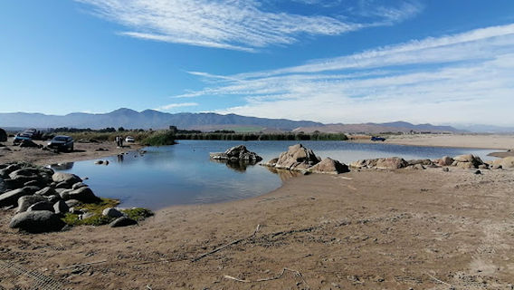 Punta Teatinos Humedal