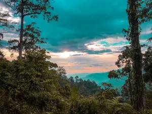 Mount Busa