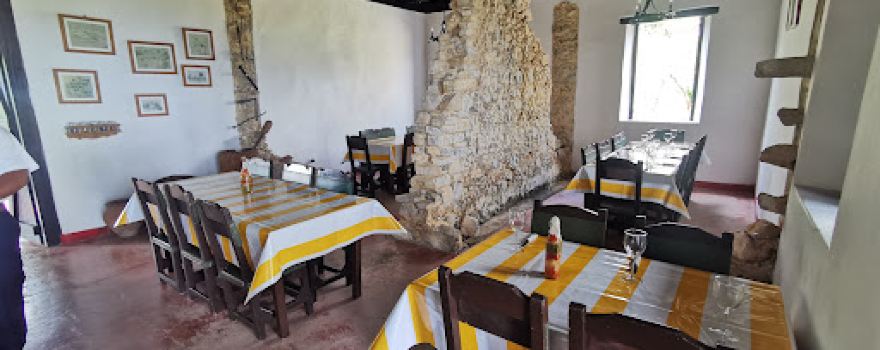 Cafetal Buena Vista