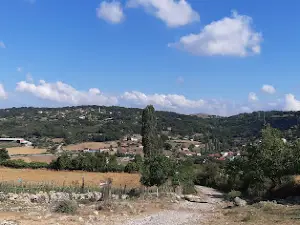 Çakallar