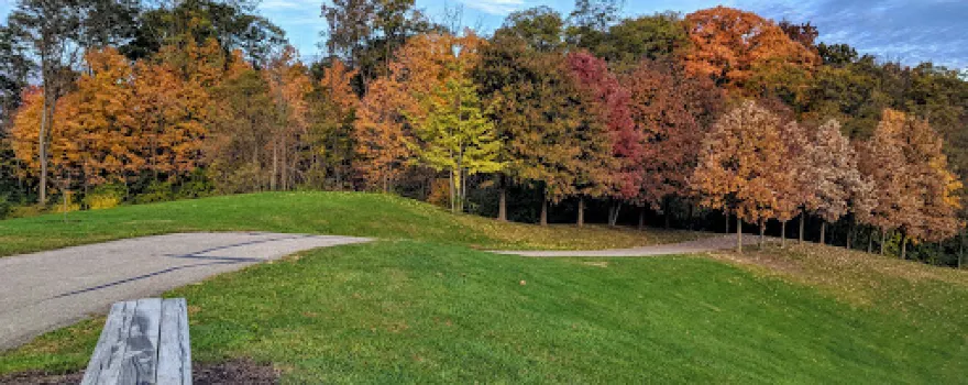 Corwin M Nixon Park