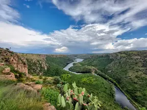 San Jose De Gracia Pueblo Magico