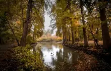 Ботанический сад Национального университета Узбекистана им. Мирза Улугбека