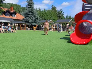 Alpakowe Przylesie