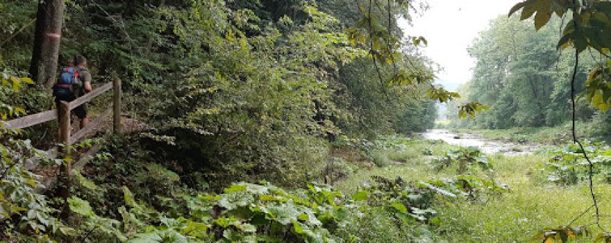 Beginn Raabklamm Mortantsch