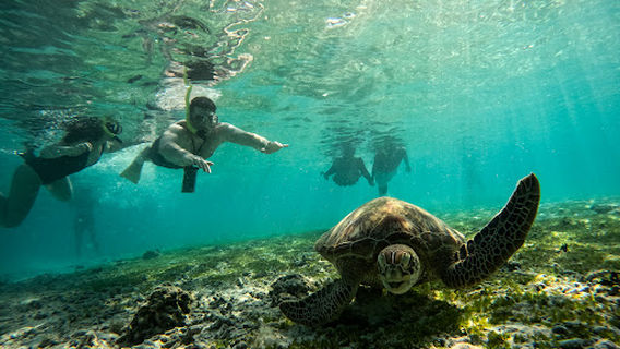 Sandy beach Turtle Point Gili Air