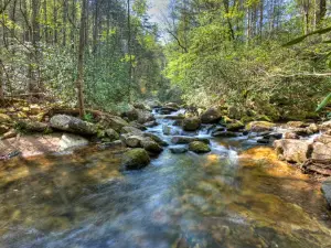 South Mountains Game Lands