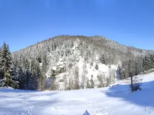 Pulčín - Hradisko