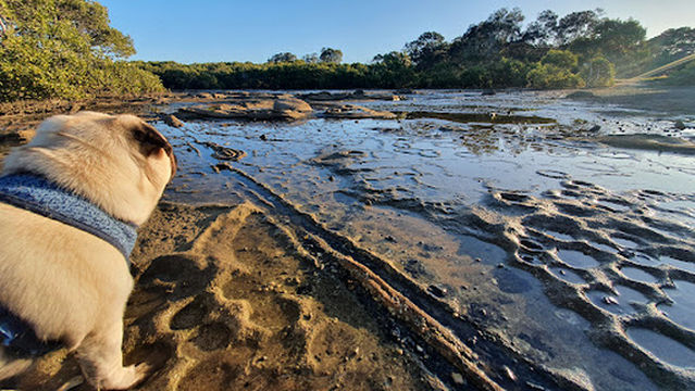 Deception Bay Dog Beach