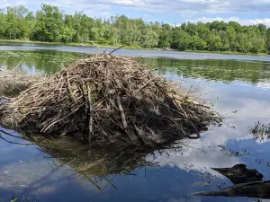 Thompsons Lake