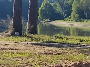 Yellow Dog Boat Launch
