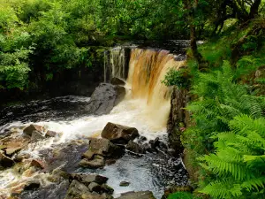 Tullydermot Falls