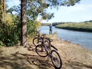 Surskiy Gosudarstvennyy Prirodnyy Zakaznik