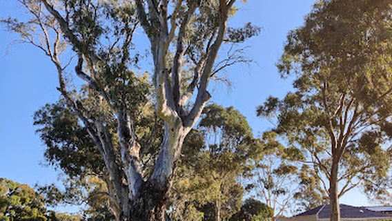 Glenwood Reserve