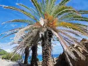 Lungomare Europa | Cogoleto - Varazze