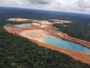Jamari National Forest