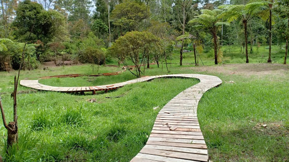 Rancabali