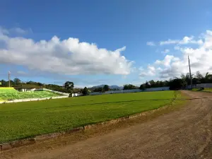 Estádio Antônio Elias Ribeiro