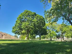 Lions Park