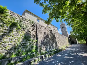Museum of Hum AurA