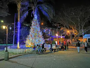 Parque Santa Lucia